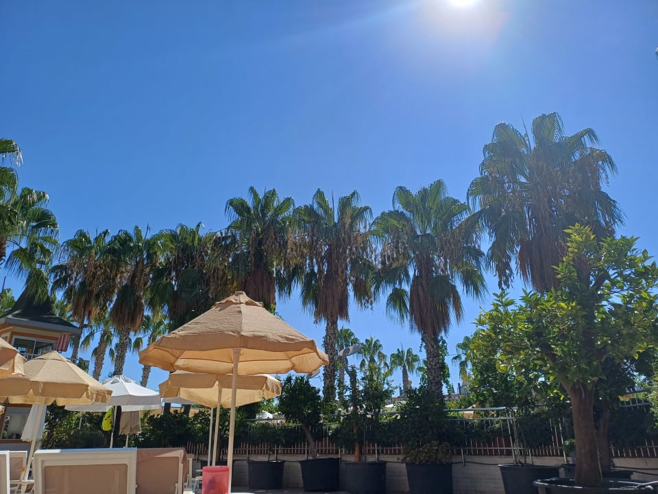 Sonstiges Hane Family Resort