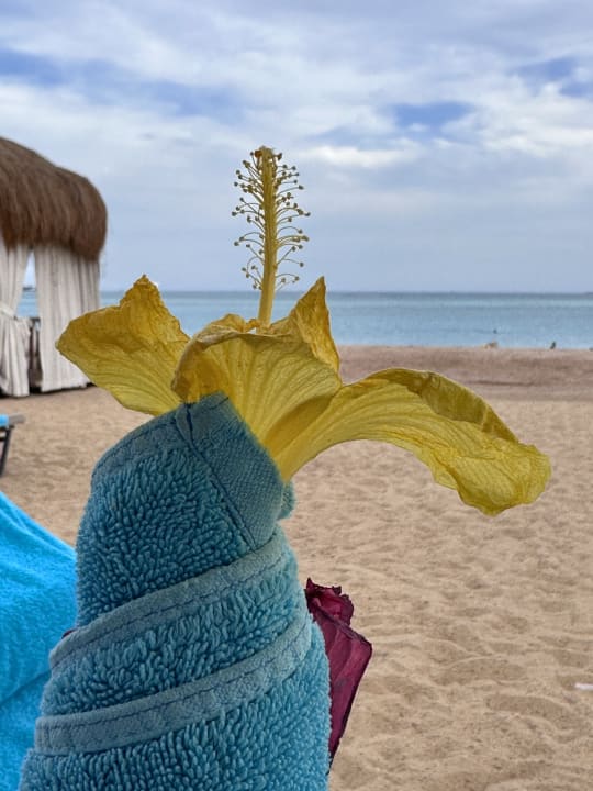 Strand Steigenberger Resort Ras Soma