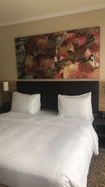 Zimmer Hilton Mainz