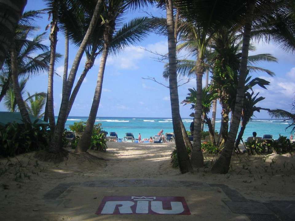 Hotelstrand - Strandbereich Hotel Riu Palace Bavaro
