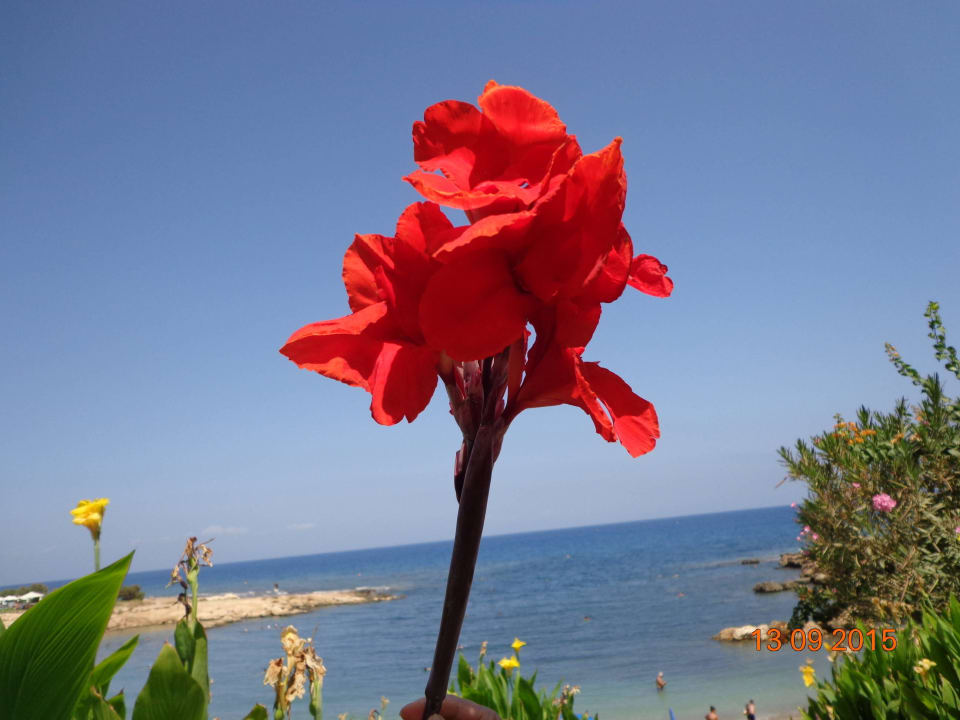 Nad hotelovou pláží Crystal Springs Beach Hotel