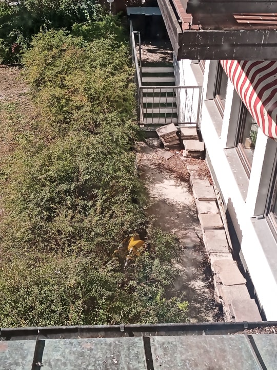 Ausblick Hotel Resort Birkenhof Therme