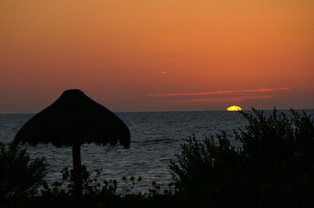 Blick von der Terrasse Hotel Eco Paradiso Xixim