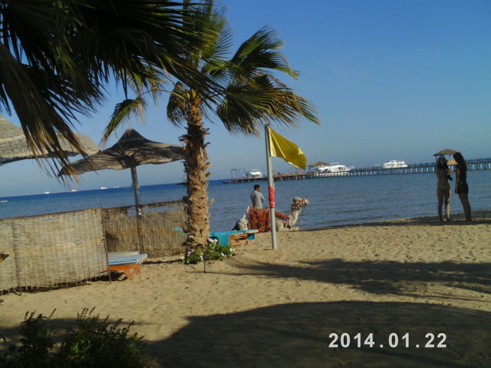 Hotel Governor Amwaj Abu Soma Amwaj Beach Club Abu Soma Resort