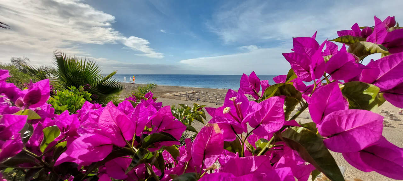 Gartenanlage Hotel Riu Palace Jandia