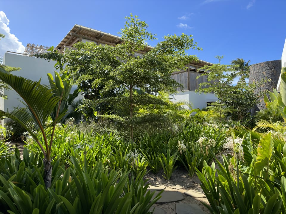 Gartenanlage Sunrise Attitude - Adults Only
