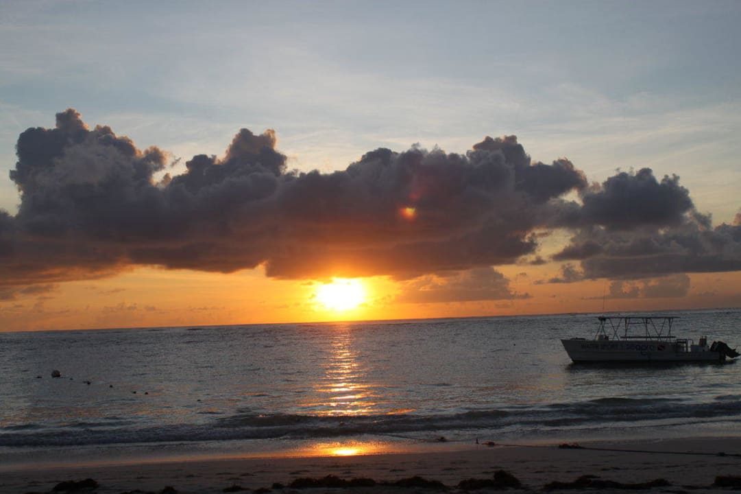 Sonnenaufgang Dreams Royal Beach Punta Cana