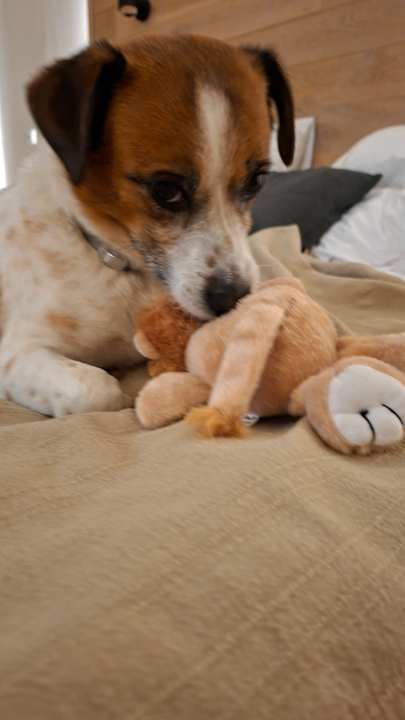 Sonstiges Reiters Finest Family Hotel