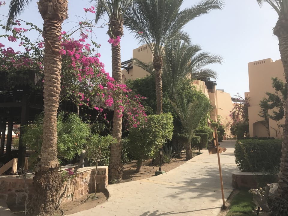 Sonstiges Steigenberger Coraya Beach - Adults only