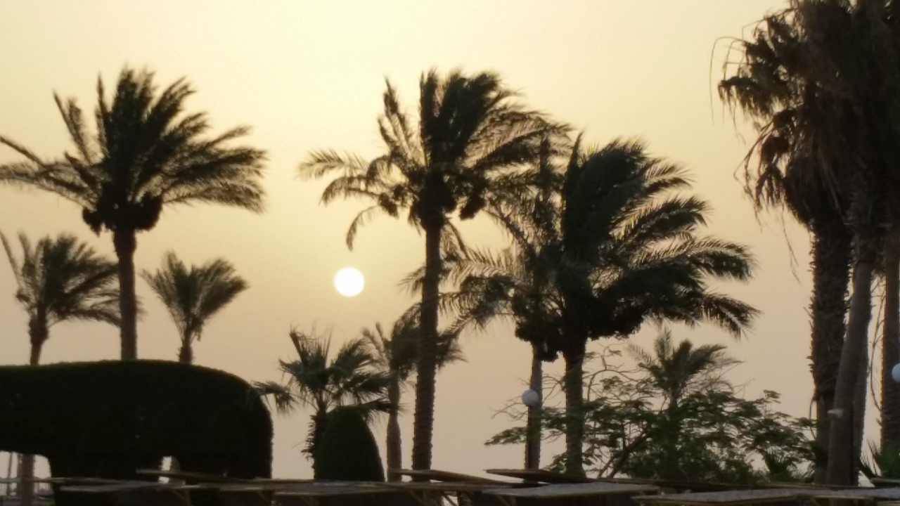 Sonnenaufgang Arabia Azur Resort