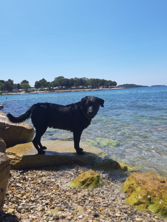 Strand Maistra Camping Valkanela