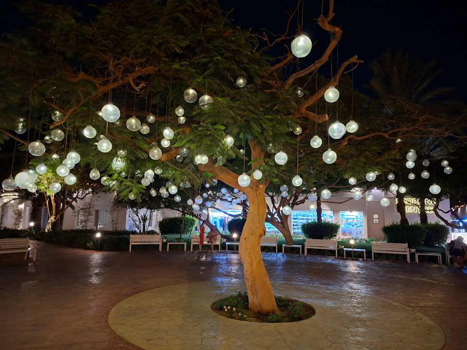 Außenansicht Desert Rose