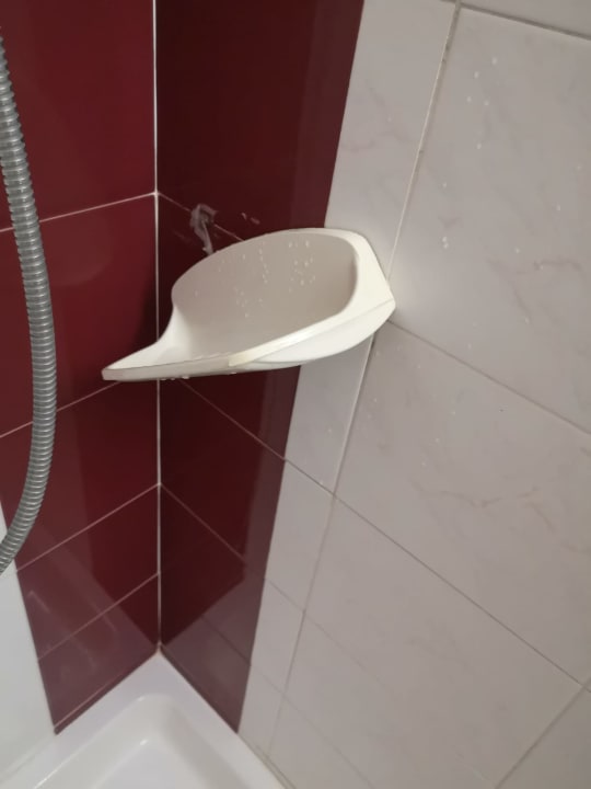 Zimmer Hotel Paloma Garden