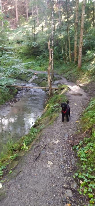 Sonstiges Familien- und Wellnesshotel Viktoria