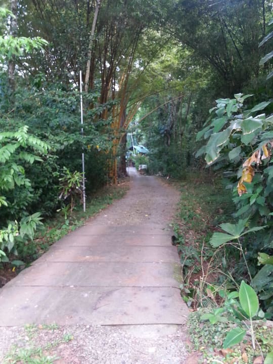 Dschungelweg zur Casa Moabi Guest Hosue Casa Moabi