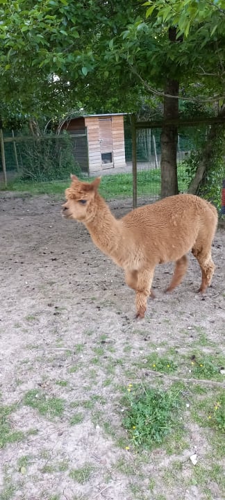 Sonstiges Campanile Val de France