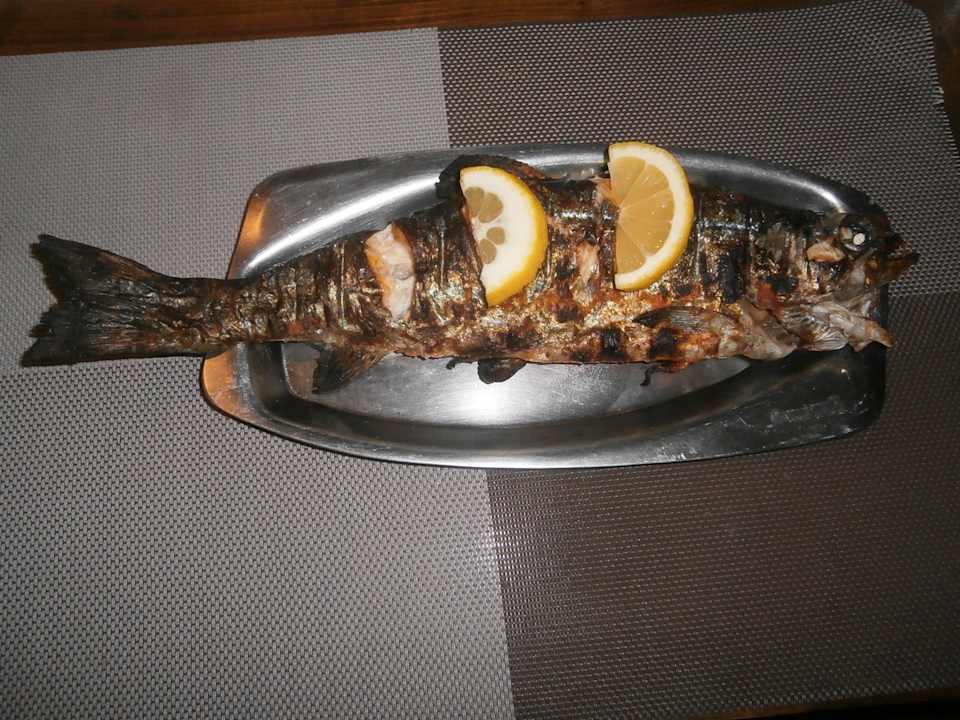 Gastro Hotel Saghamo