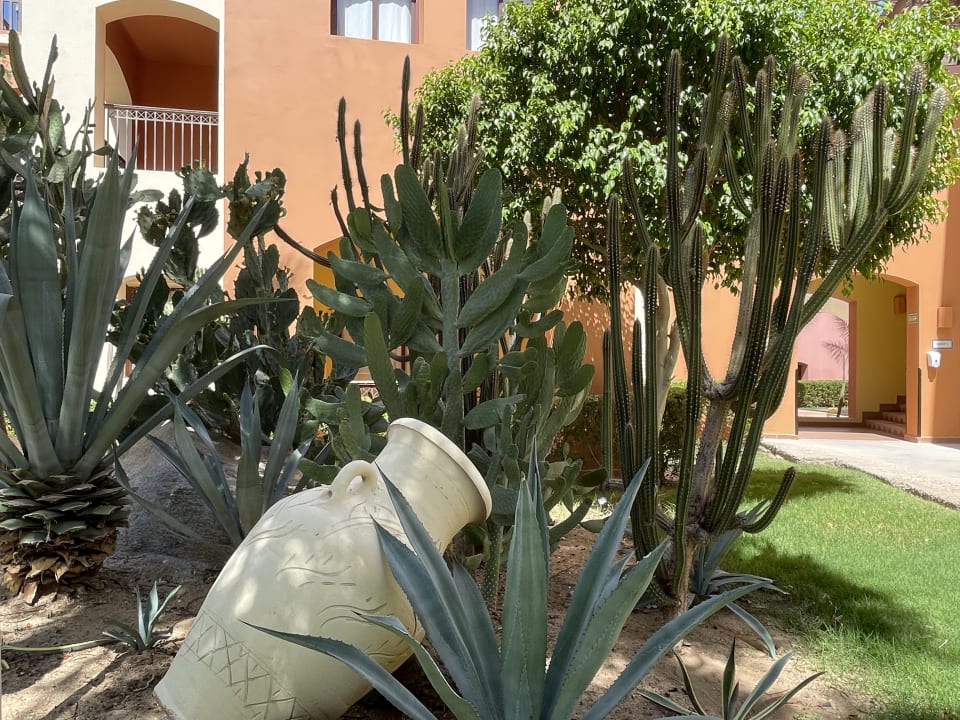 Gartenanlage Jaz Makadi Saraya Resort