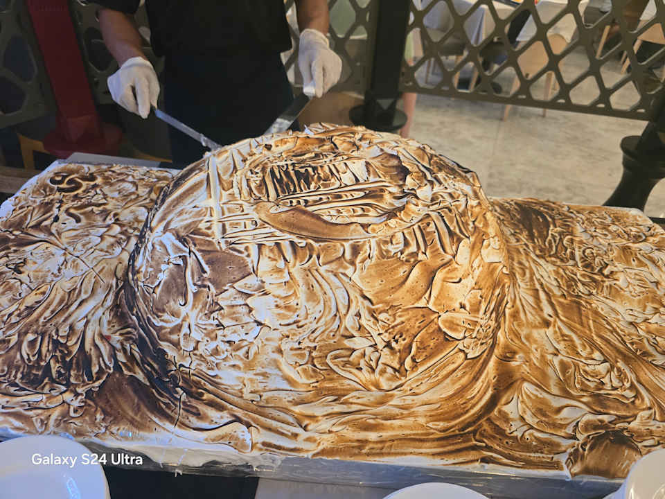 Gastro Seashell Vega