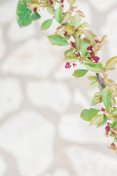 Außenansicht Afroditi Pansion