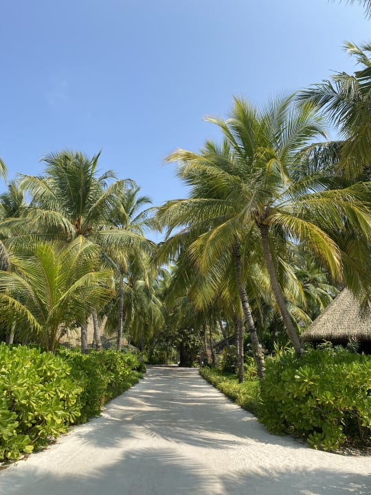Gartenanlage Kuredu Island Resort & Spa