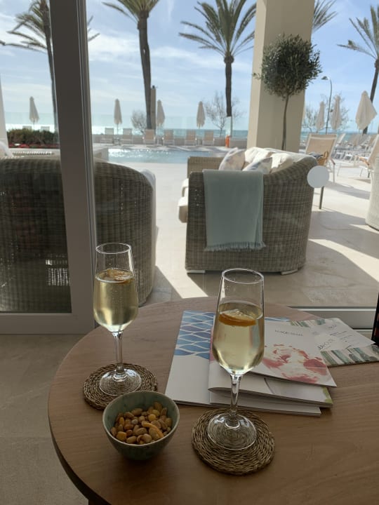 Gastro Myseahouse Flamingo - Adults only