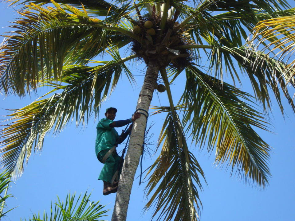 Gärtner Grand Palladium Select Bávaro Resort & Spa