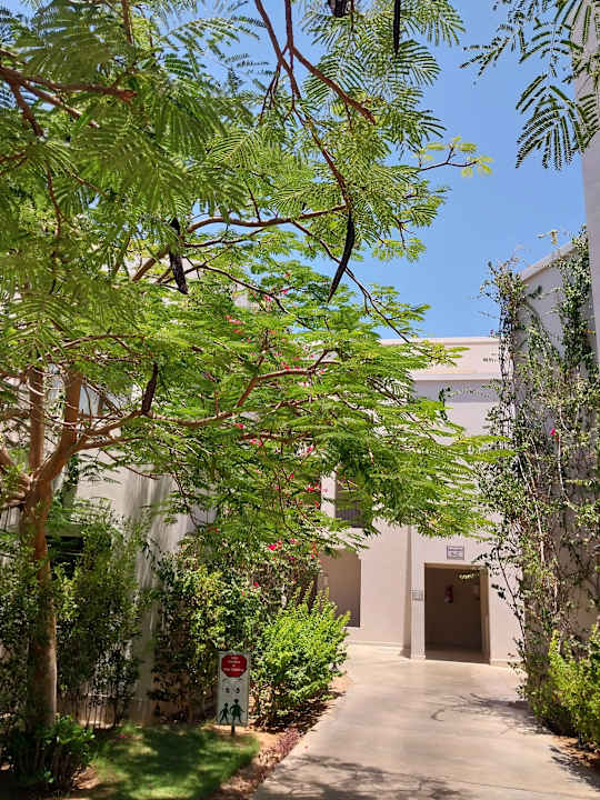 Gartenanlage Steigenberger Alcazar