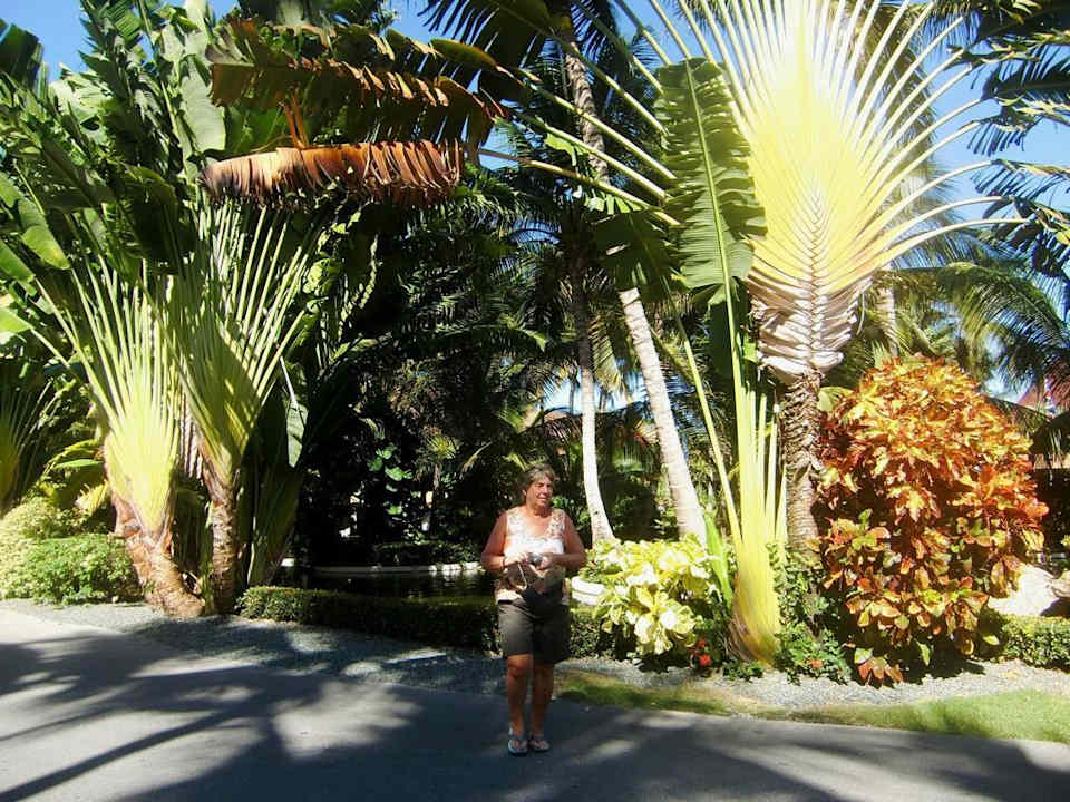 Im Resort Bavaro Grand Palladium Select Bávaro Resort & Spa