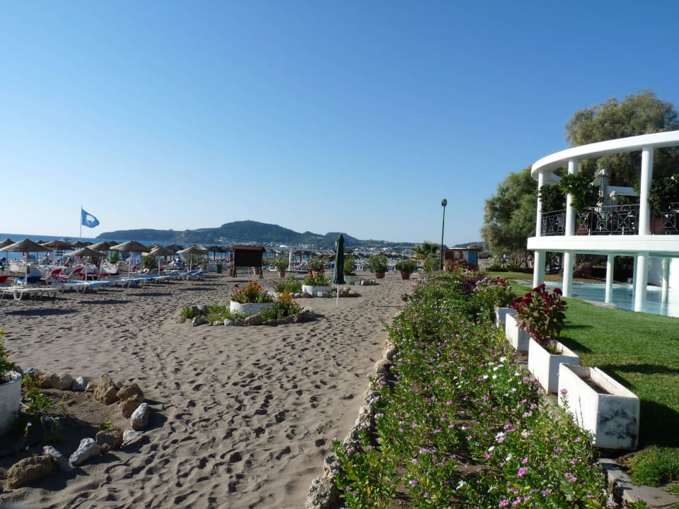 Poolbar+Strand Hotel Calypso Beach