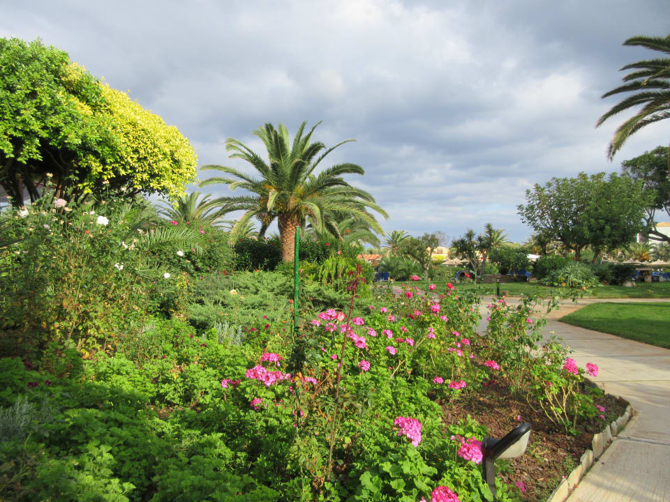 Gartenanlage Anissa Beach & Village
