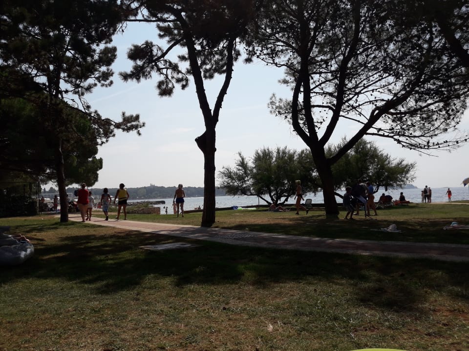 Gartenanlage Hotel Materada Plava Laguna