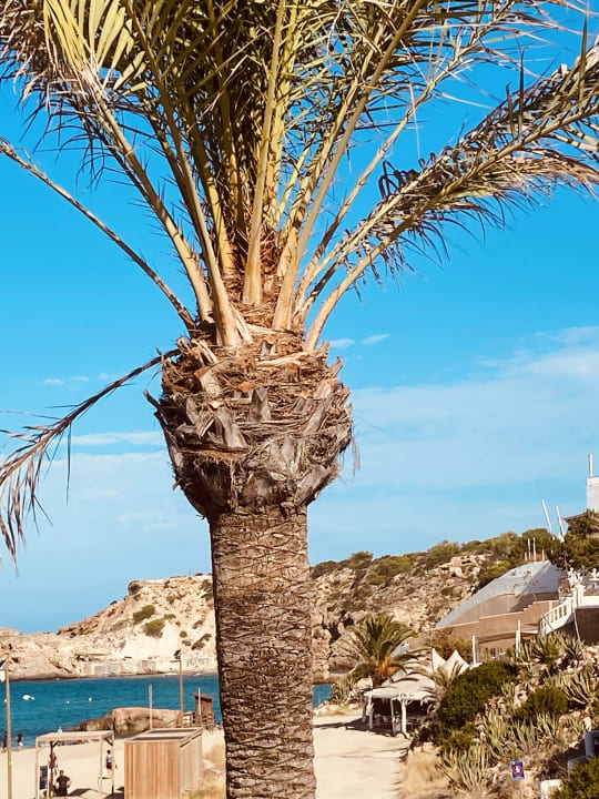 Ausblick Insotel Tarida Beach Resort & Spa