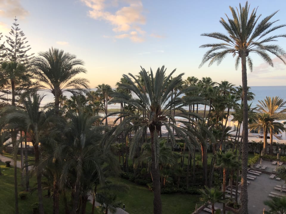 Ausblick Hotel Riu Palace Oasis