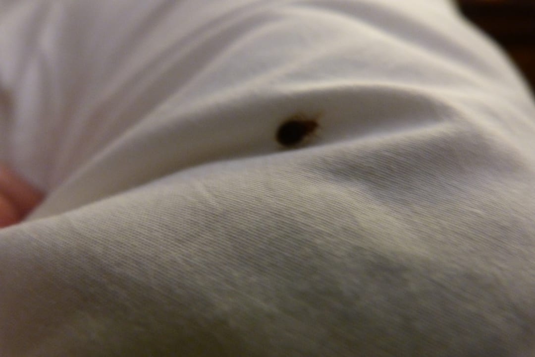 Zimmer Elounda Residence Resort & Waterpark