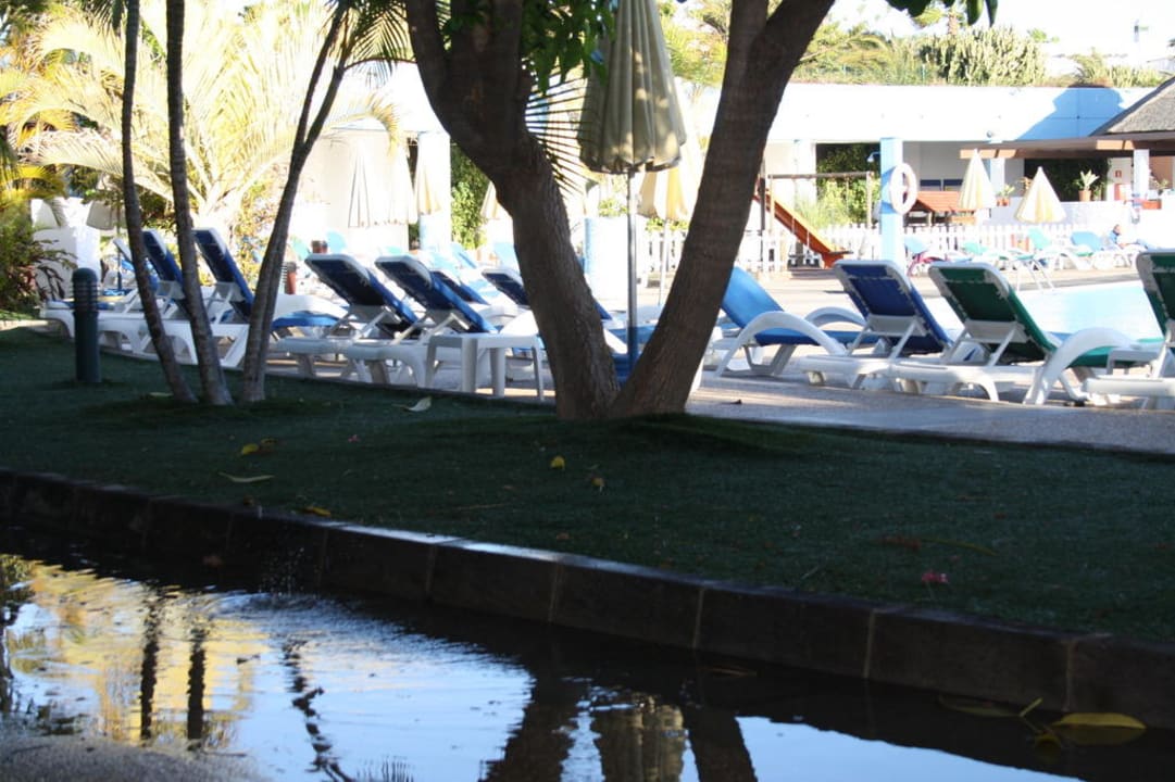 Nach Regennacht Relaxia Lanzasur Club