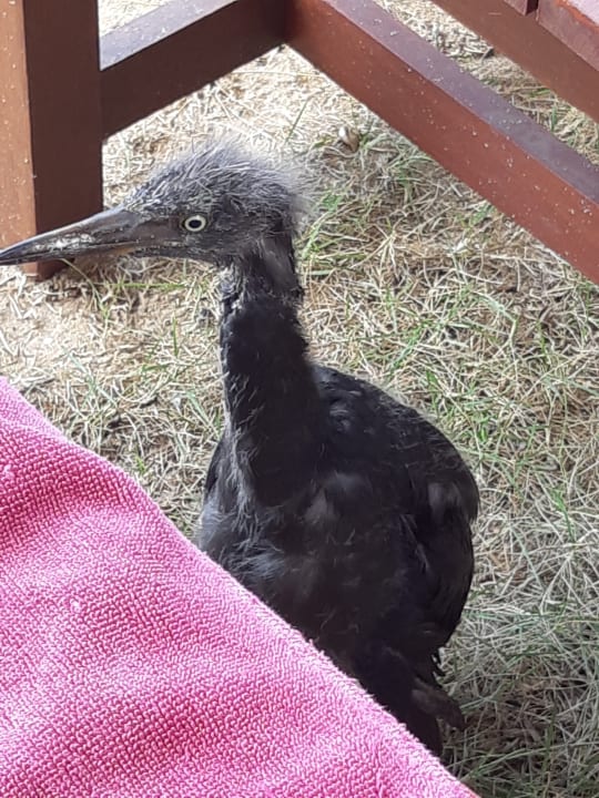 Sonstiges Khaolak Laguna Resort