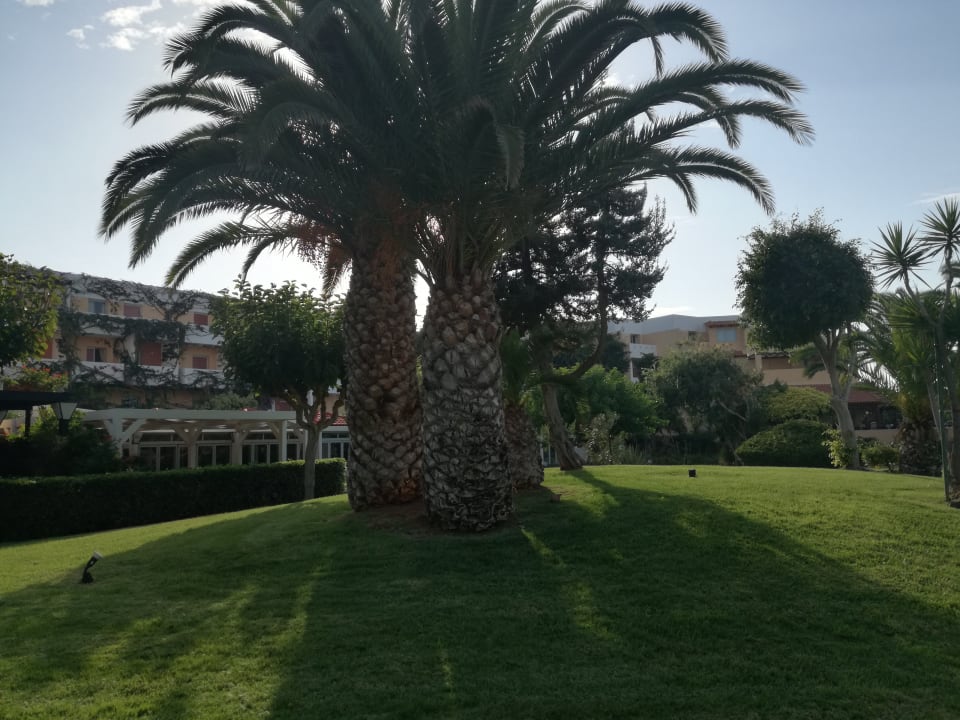 Gartenanlage Anissa Beach & Village