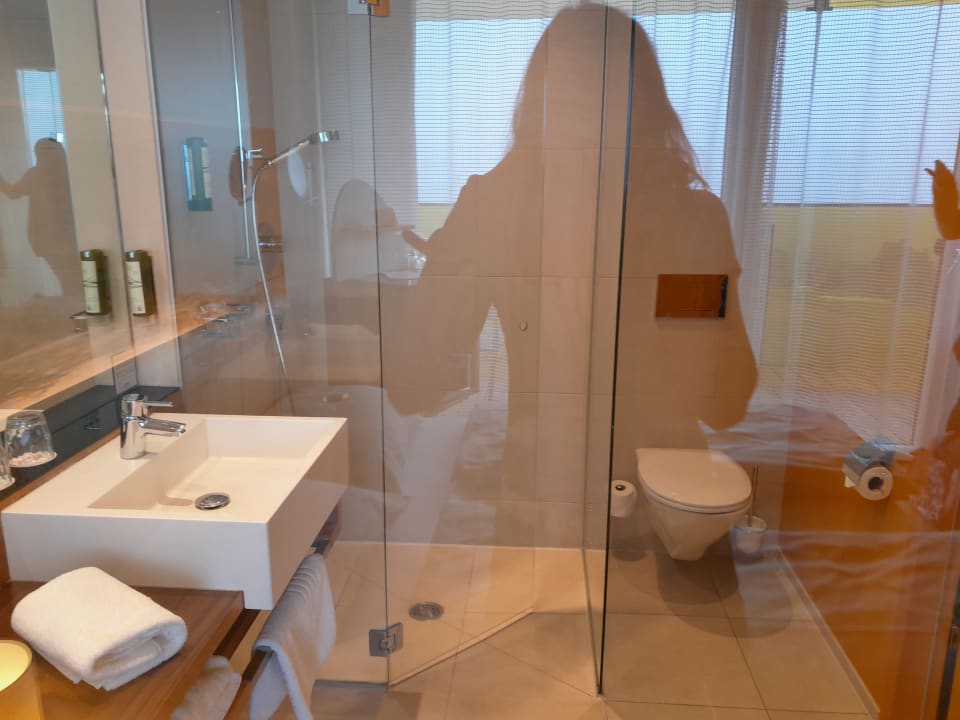 Zimmer AVIVA make friends