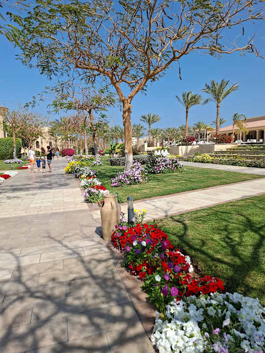 Gartenanlage JAZ Aquamarine Resort