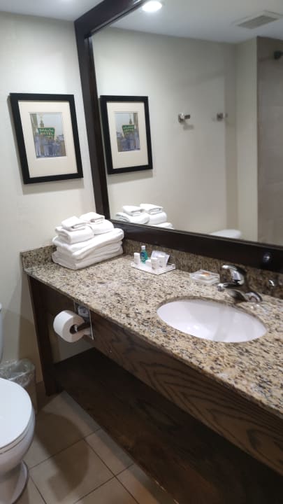 Zimmer Hotel Holiday Inn Express Fort Myers West - The Forum