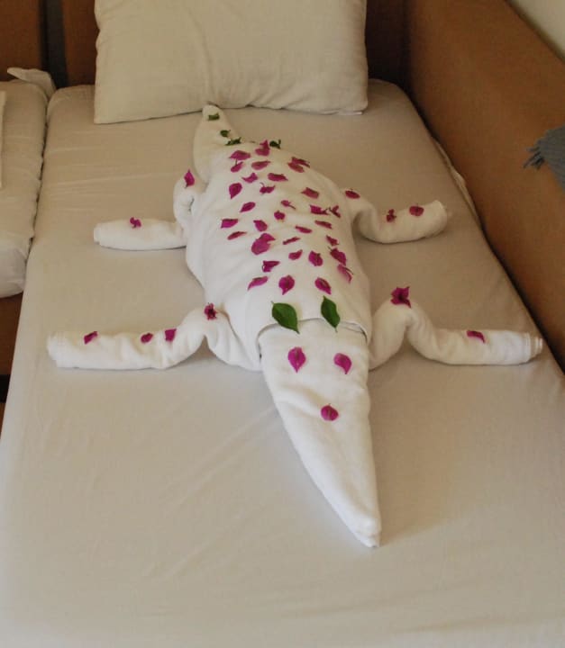 Suprise! Dream Family Club