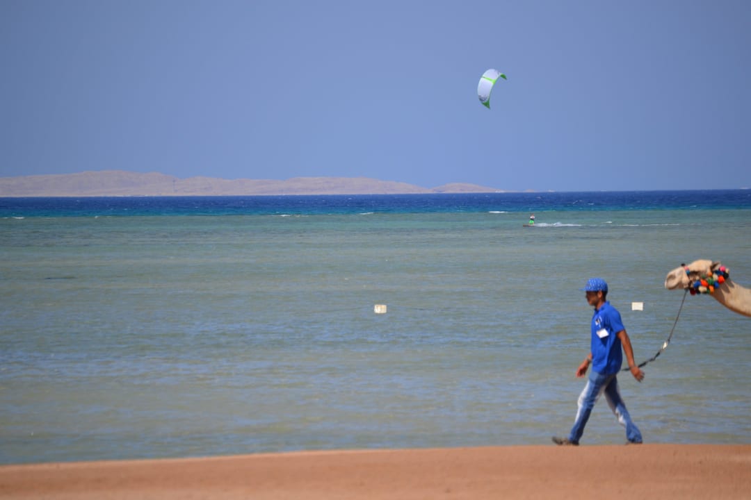 Kitesurfing und viel Platz, Kamelreiten  JAZ Aquamarine Resort