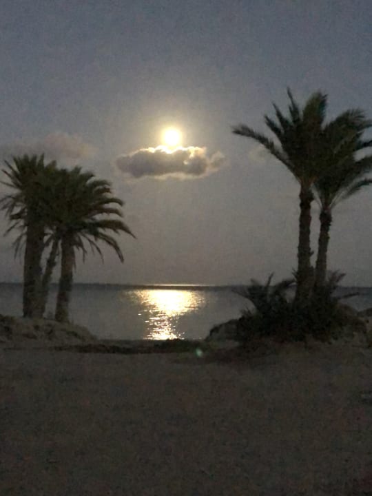 Ausblick Hotel El Mouradi Djerba Menzel