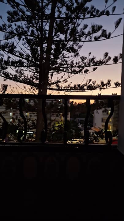 Ausblick Hotel Rey Carlos