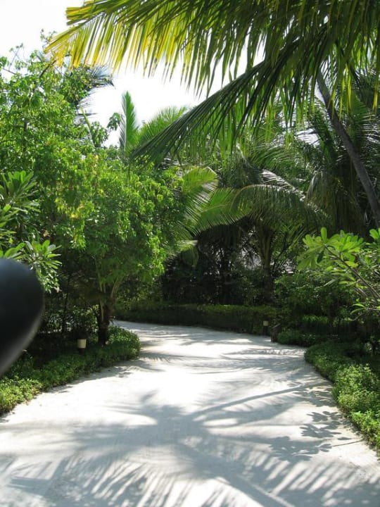 Typischer Weg auf der Insel Sun Siyam Olhuveli