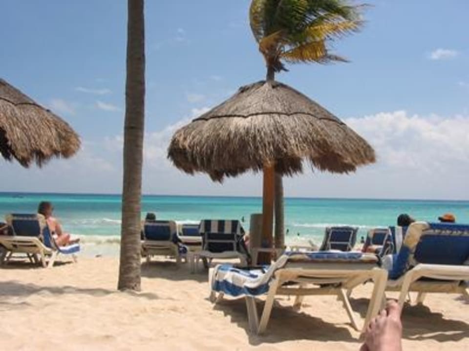 Azteca Strand schön ins Bild gesetzt Viva Azteca by Wyndham - All Inclusive Resort