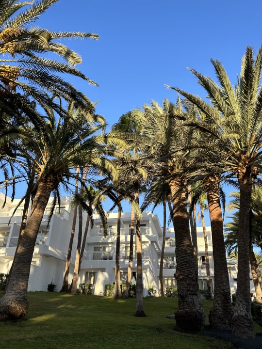 Gartenanlage Hotel Riu Paraiso Lanzarote