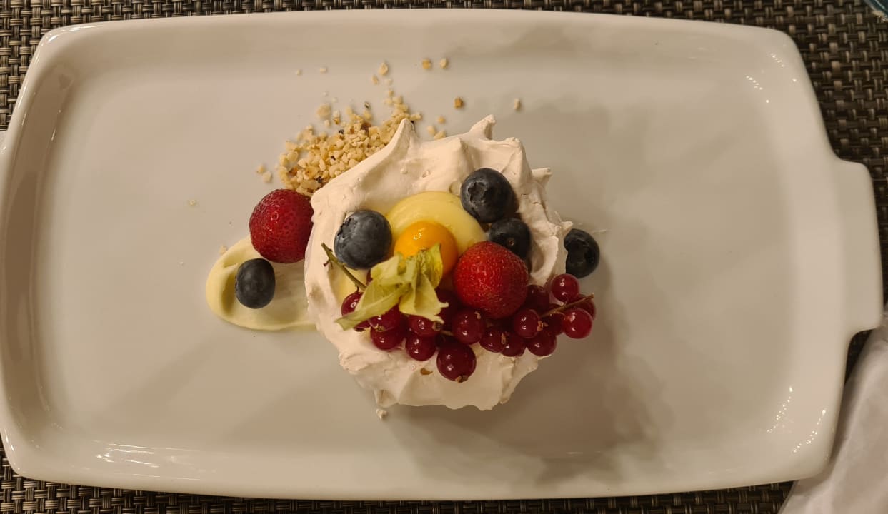 Gastro Paloma Oceana