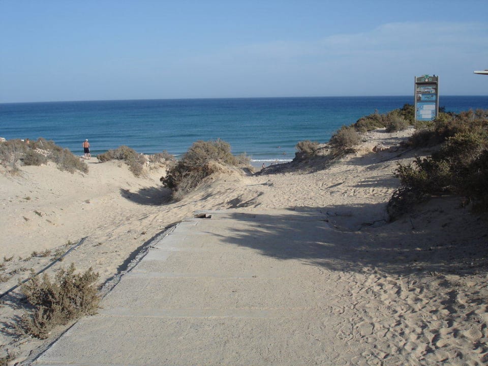 Der Weg vom/zum Strand H10 Playa Esmeralda - Adults only
